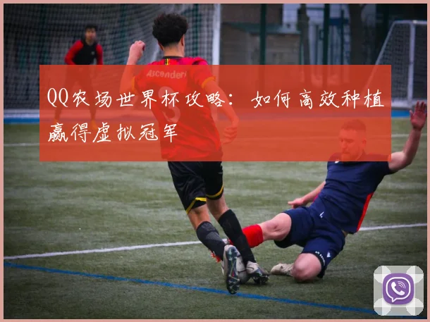 QQ农场世界杯攻略：如何高效种植赢得虚拟冠军