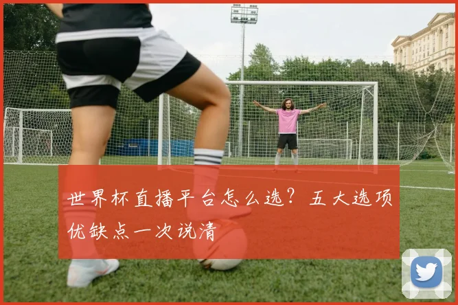 世界杯直播平台怎么选?五大选项优缺点一次说清