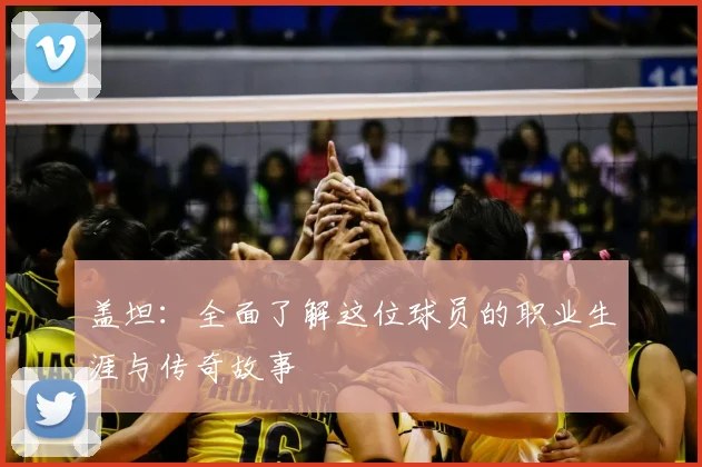 盖坦:全面了解这位球员的职业生涯与传奇故事